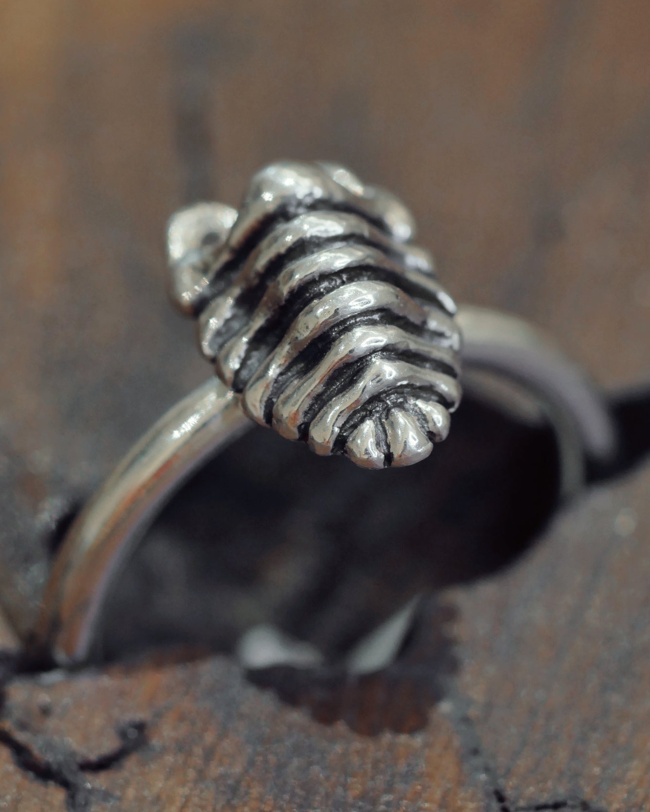 Rubber Ducky Isopod Ring